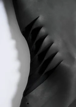 HAYDENSHAPES BY DION LEE WOMENS GILL LS SPRING SUIT 2MM -Style On Boards Haydenshapes By Dion Lee Gill Detail 166b8ca3 90f9 4edc 95ec d8d73a4e21d6 scaled